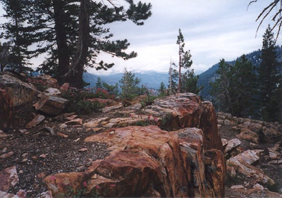 Ansel Adams Wilderness Area