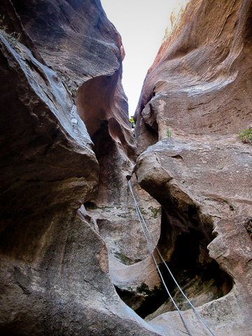 May 2014 trip through Jolley Gulch in Zion National Park