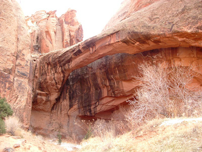 Morning Glory Arch