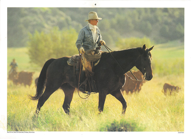 Ranch Pants - Western Horseman