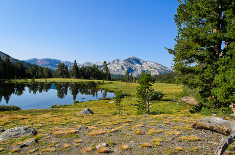 The High Country of Yosemite National Park