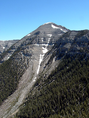 Mount Charleston in southern Nevada