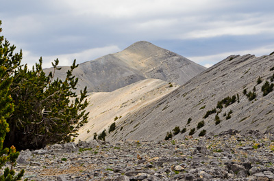 Mount Charleston in Southern Nevada