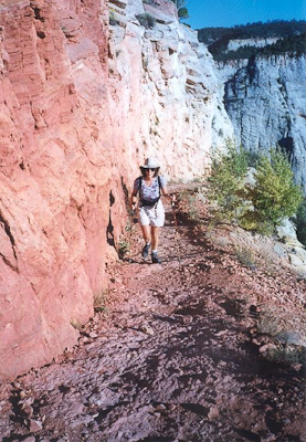 Trail to Observation Point in Zion National Park