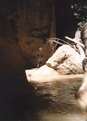 Hiking the Narrows in Zion National Park