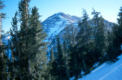 Northeast face of Mount Charleston (11,918 feet)