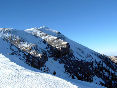 The East Face of Mount Charleston