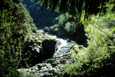 The Salmon River in Northern California