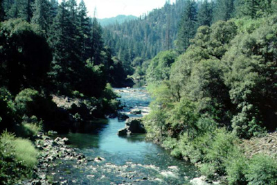 The Salmon River in Northern California near the