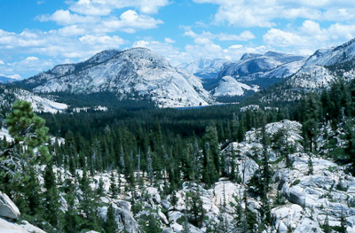 Tenaya Lake and it's surroundings