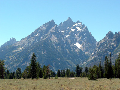 The Teton's