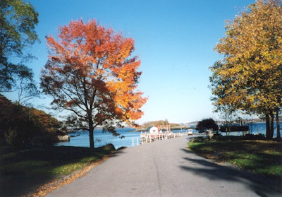 Maine colors in the fall